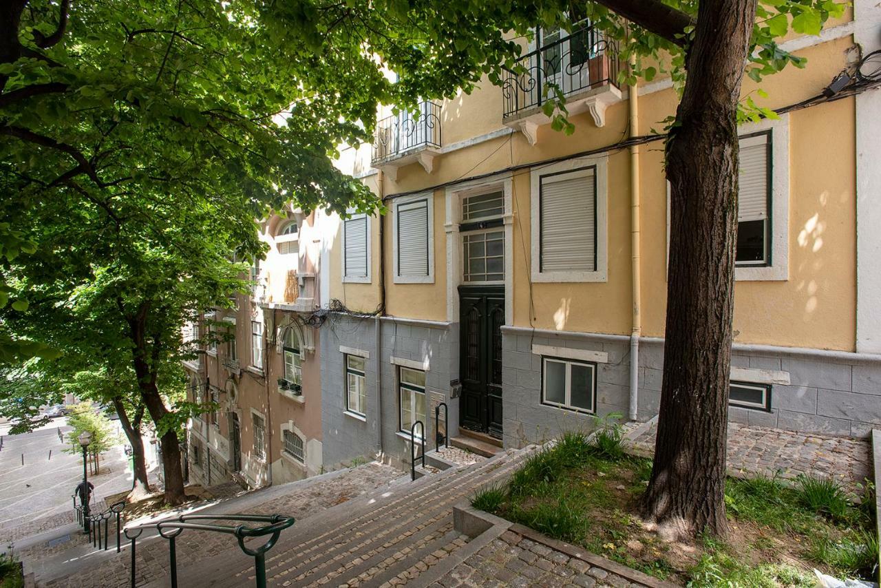 Liverpool Tree Apartment Lisbon