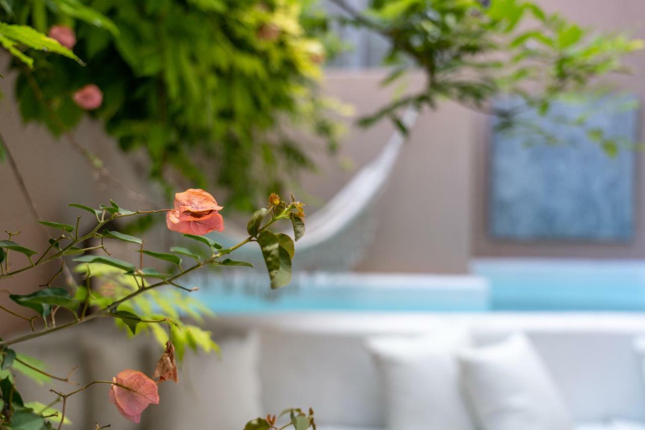 Garam Bed and breakfast Lisboa