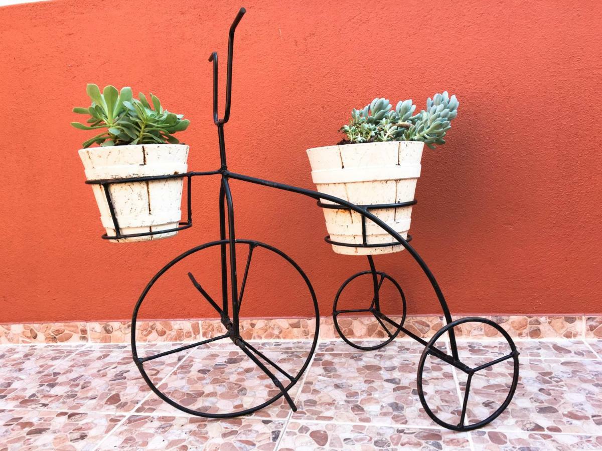 Comfort * Lisbon