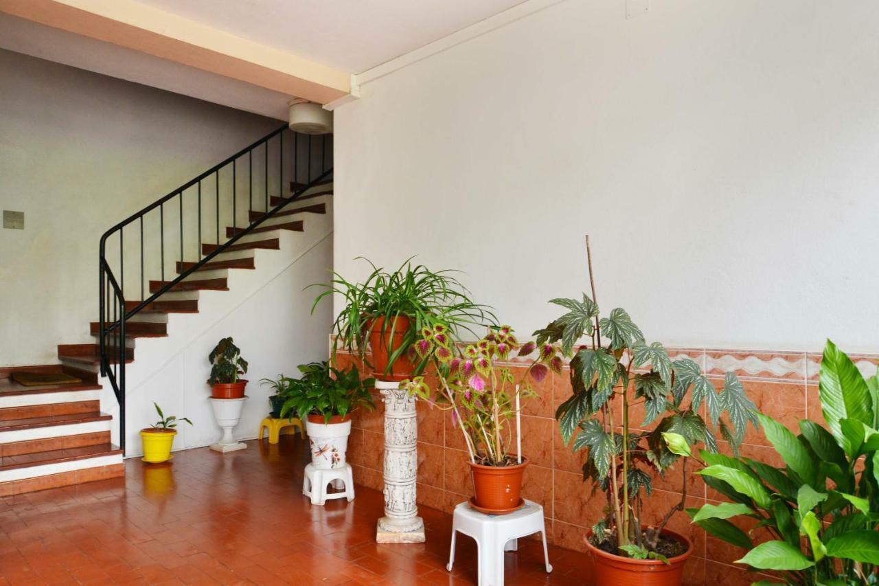 Encarnacao House Apartamento *