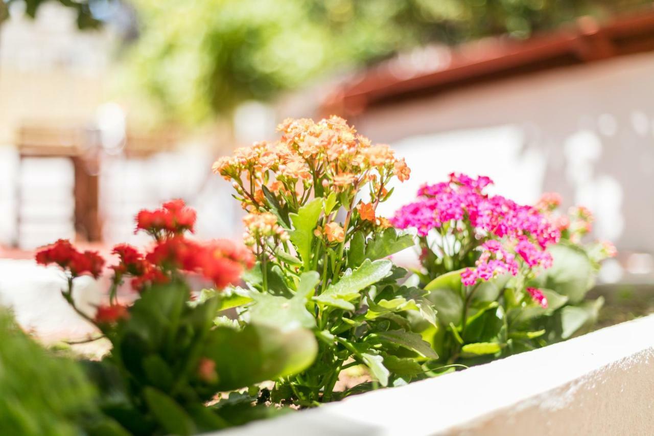 Belem Vintage With Superb Private Terrace *