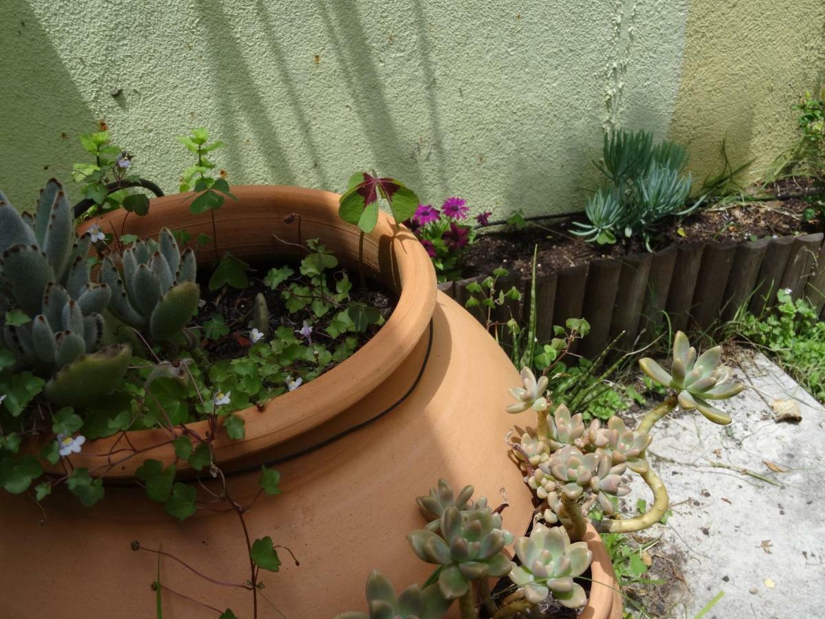 Jardin D'olisipo - Centre *
