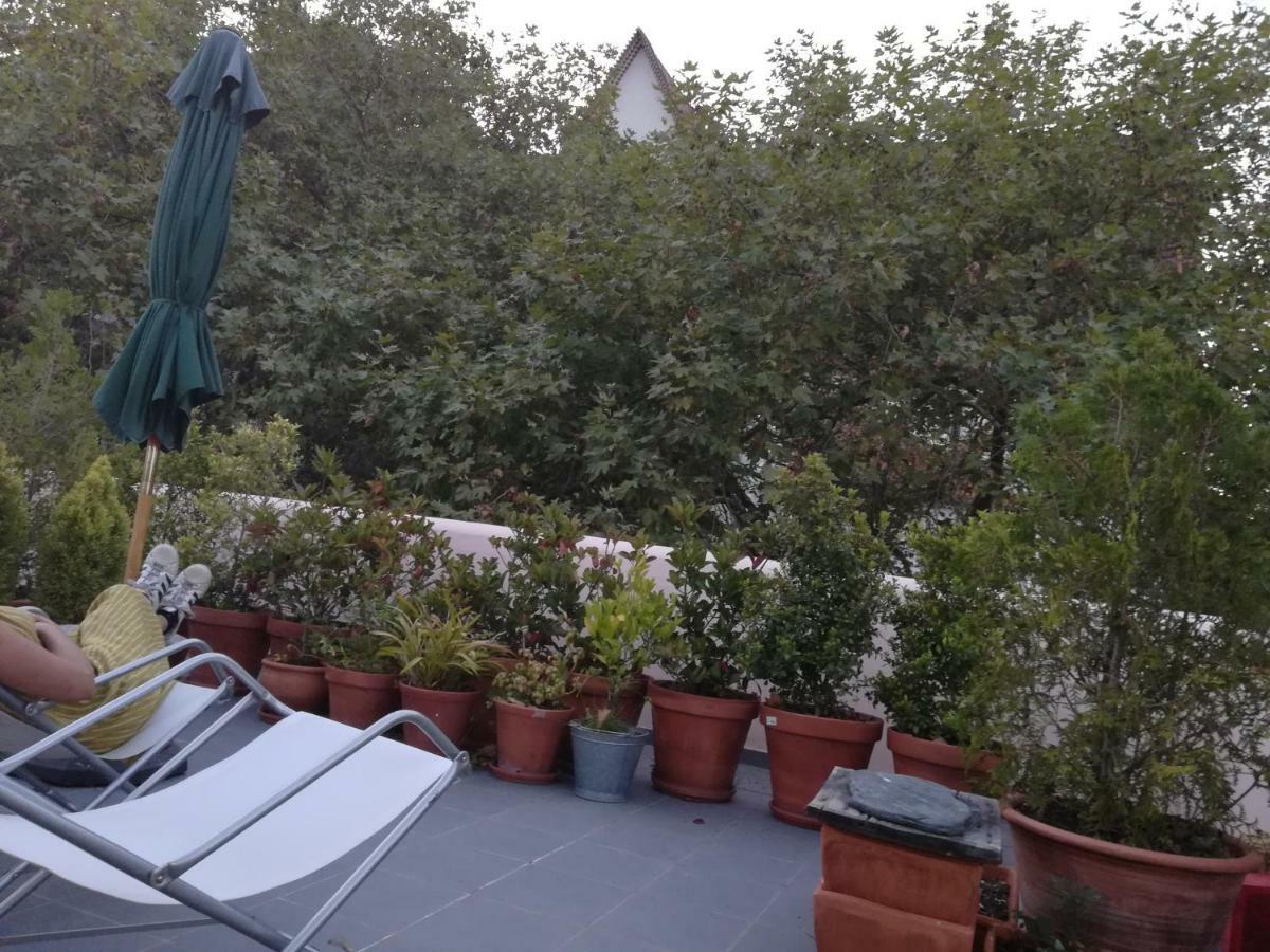 Cozy Independent Homestay