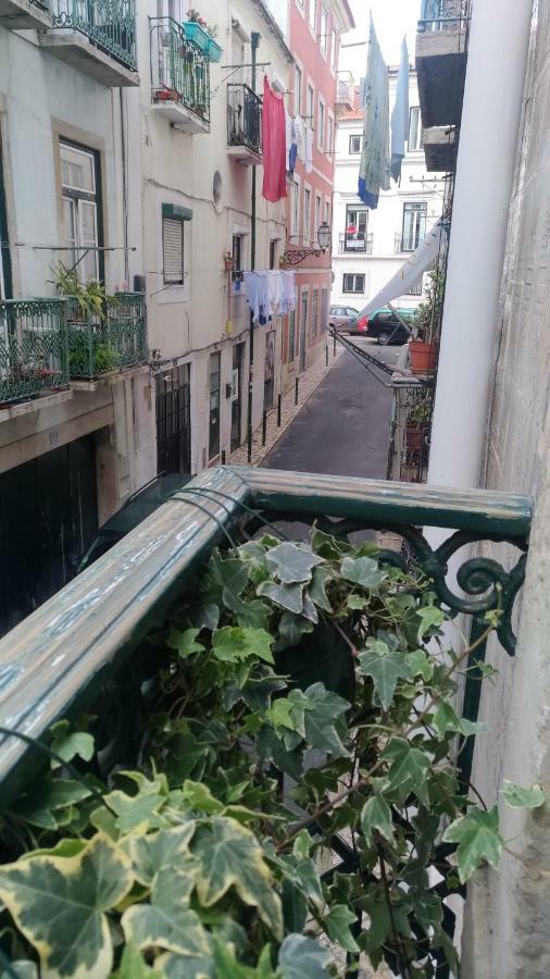 Apartamento Mastros *