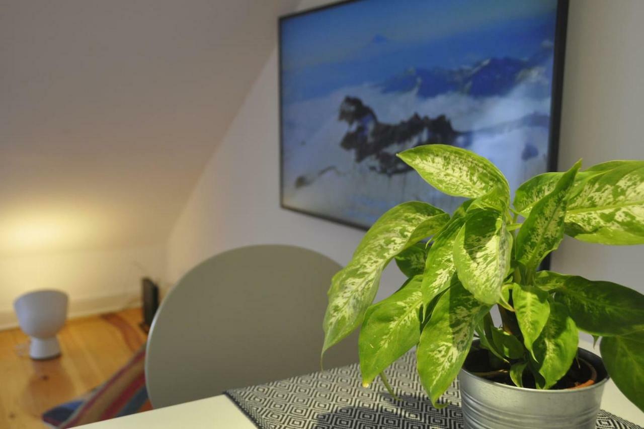 Cozy&quiet Flat Near Avenida Da Liberdade Apartamento
