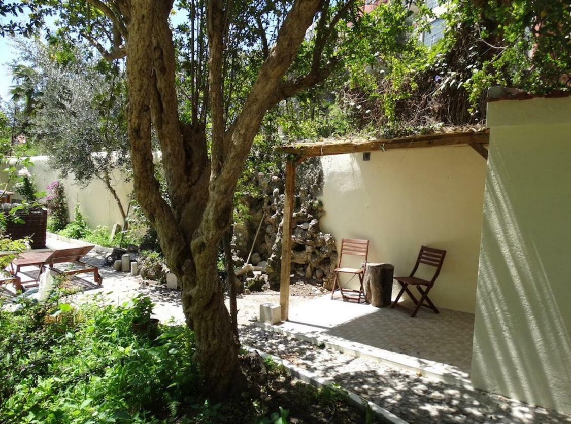 Graca Palace With Private Pool Garden Apartamento Lisboa