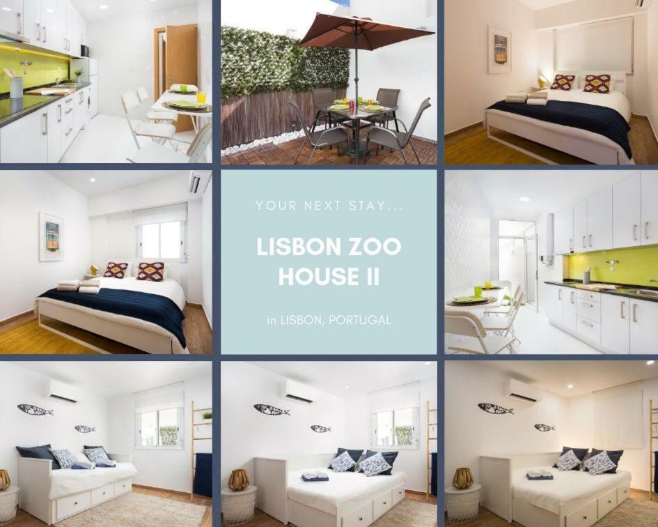 Zoo House Ii Apartamento