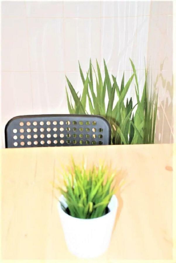 Apartamento Biti's Nest