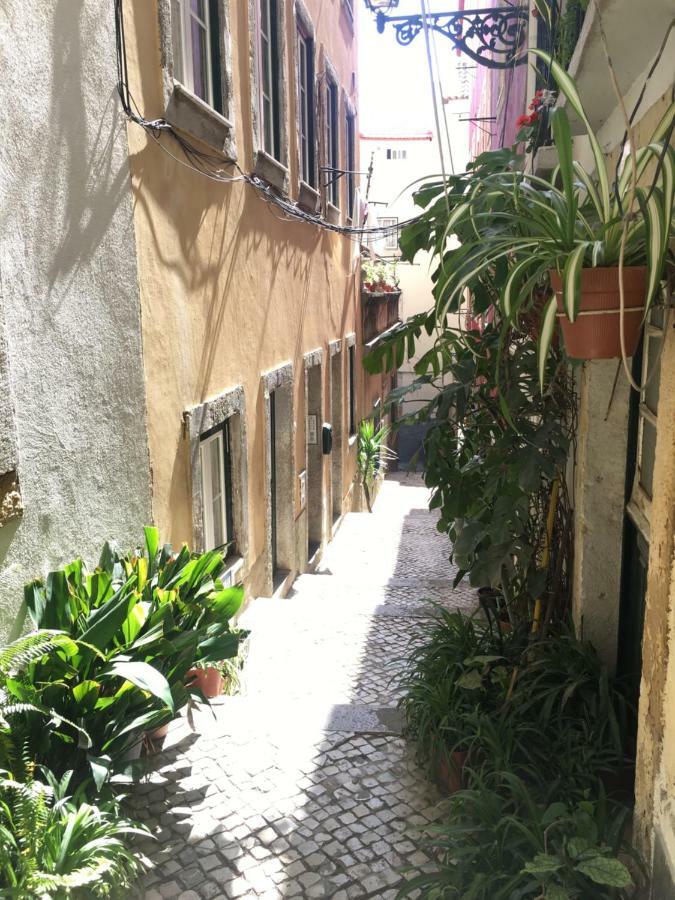 Casa Da Saudade, A Cozy In Alfama *