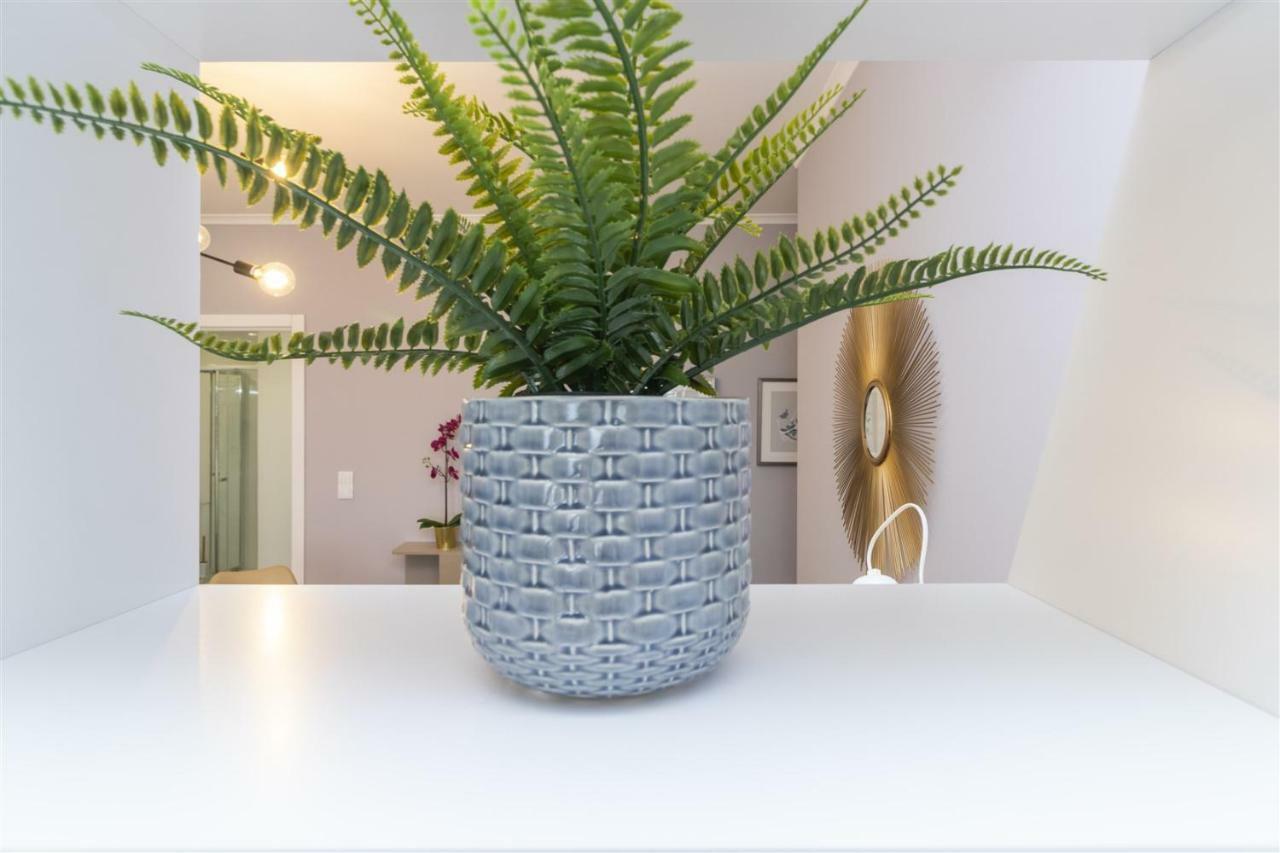 Apartamento Calcada Dos Barbadinhos
