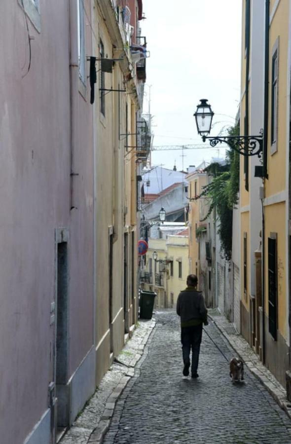 Apartamento Cozy&quiet Flat Near Avenida Da Liberdade *