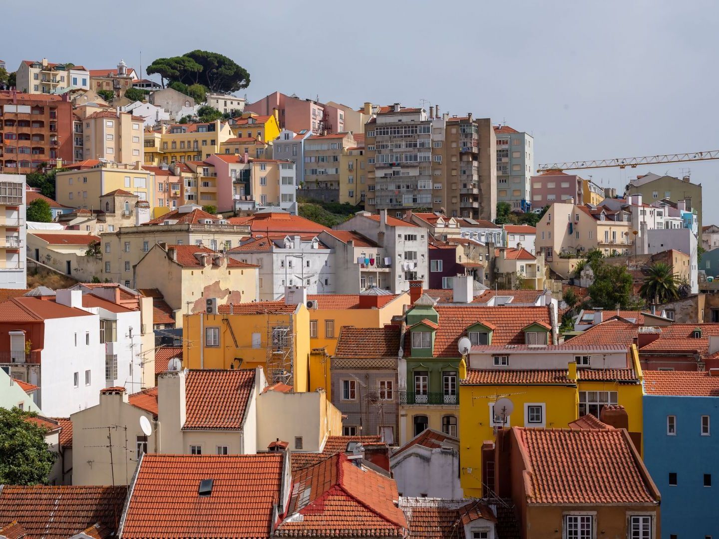 Altido Elegant Deluxe & Altido Luxurious 3-bedroom Apt With Terrace In Intendente Apartamento *