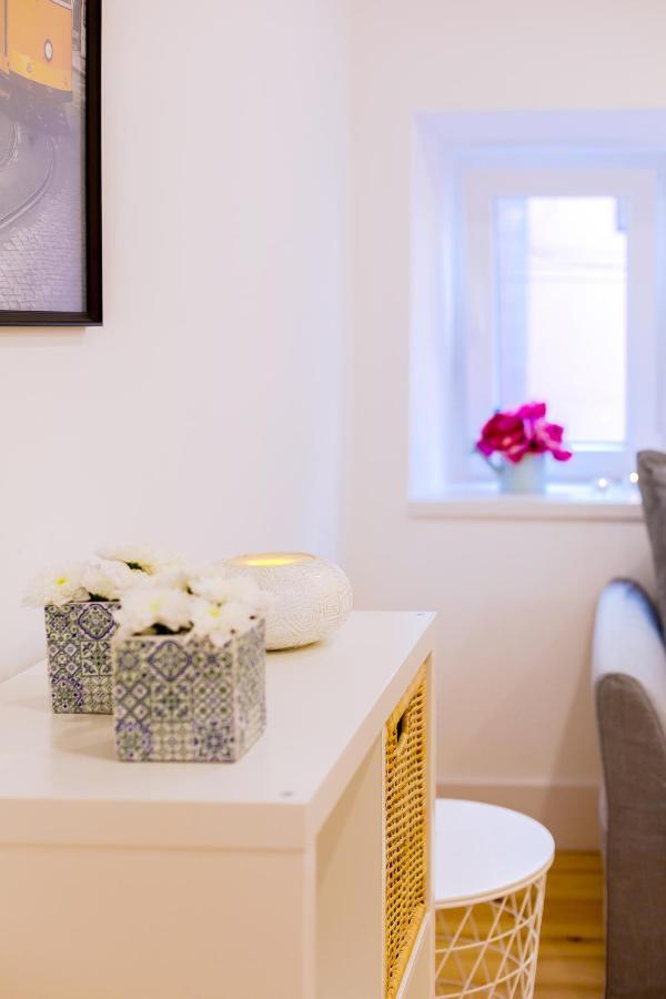 Casa Dos Doutores, A Cozy In Apartment *