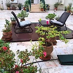 Sunny Green Terrace