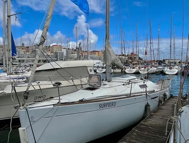 Surfbird Cozy Sailboat Escape