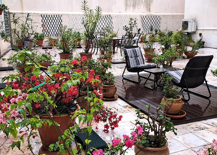 Sunny Green Terrace
