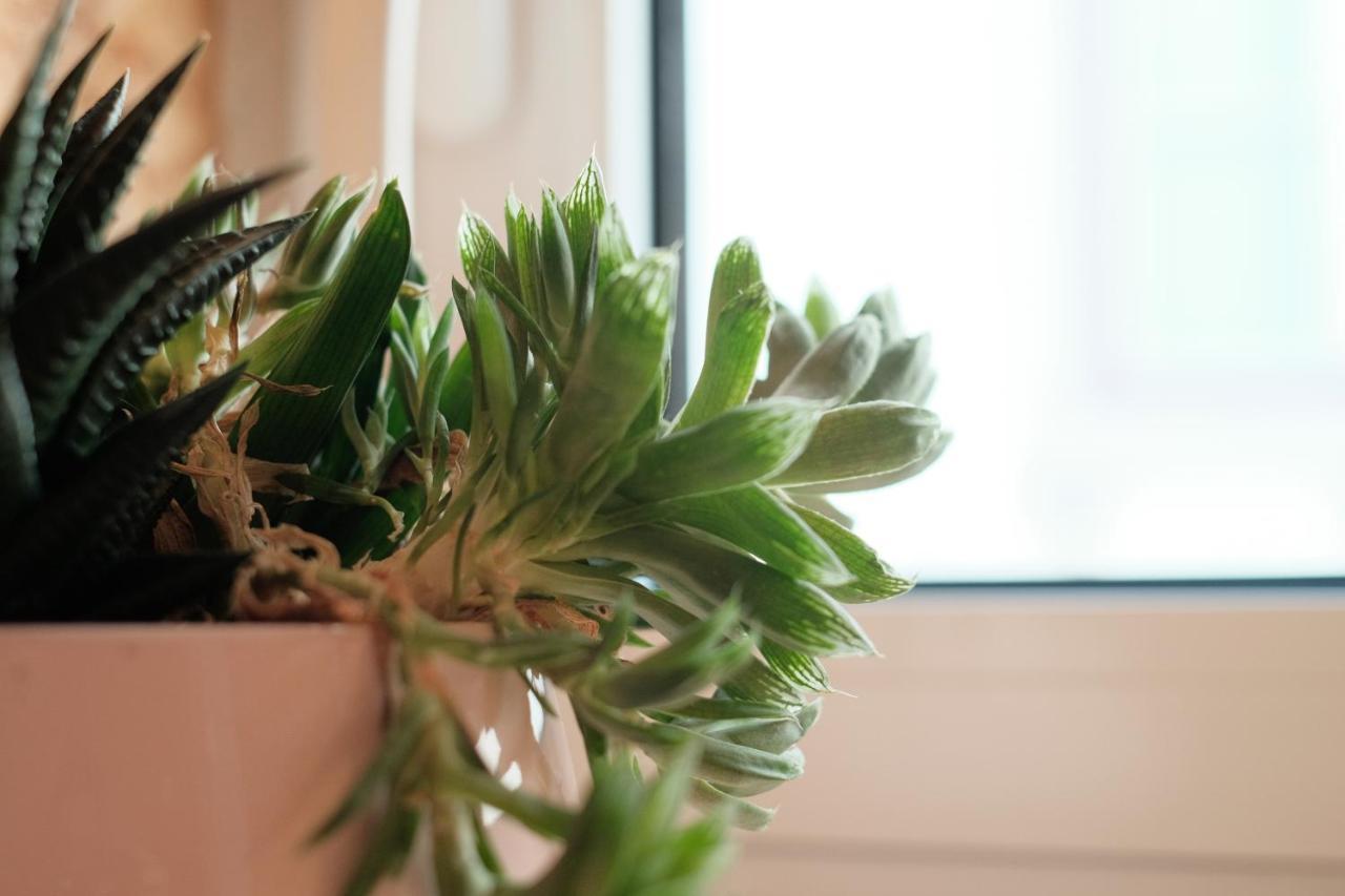 Apartment Friendly Border Design *