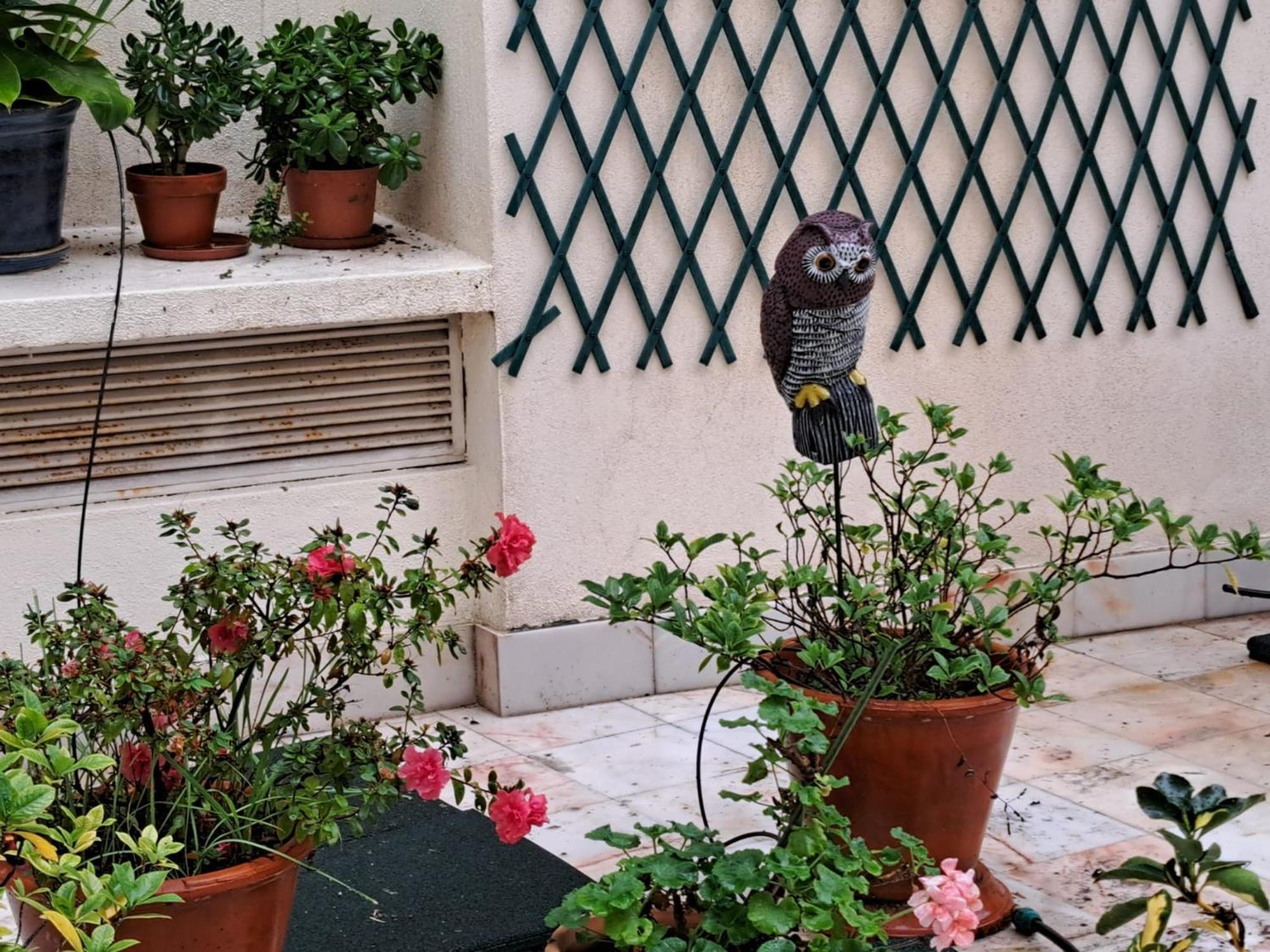 Sunny Terrace * Lisboa
