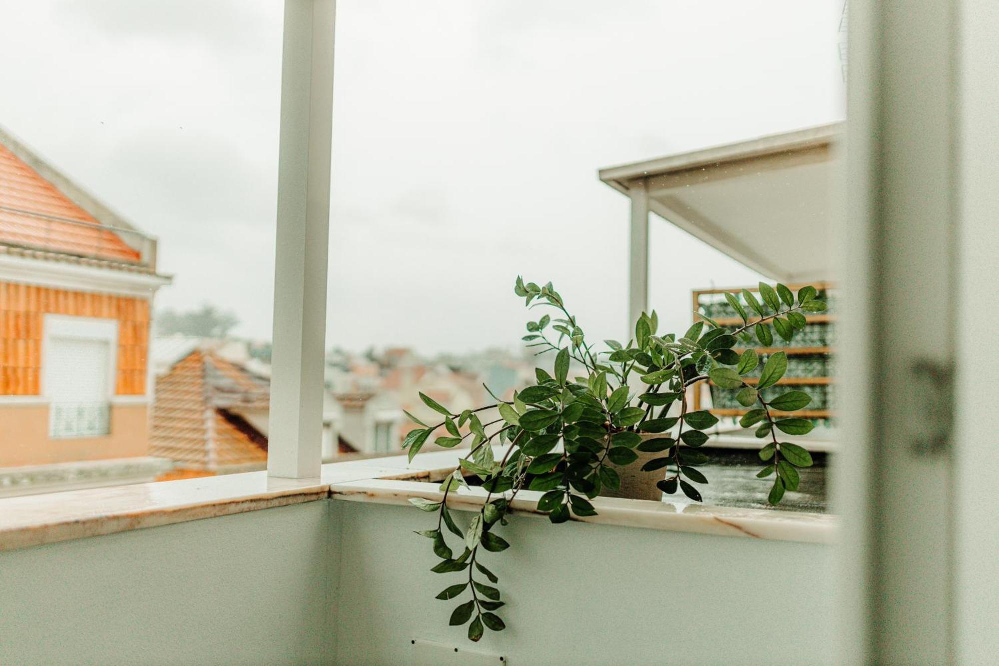 Belem Tejo - Memoria Apartamento