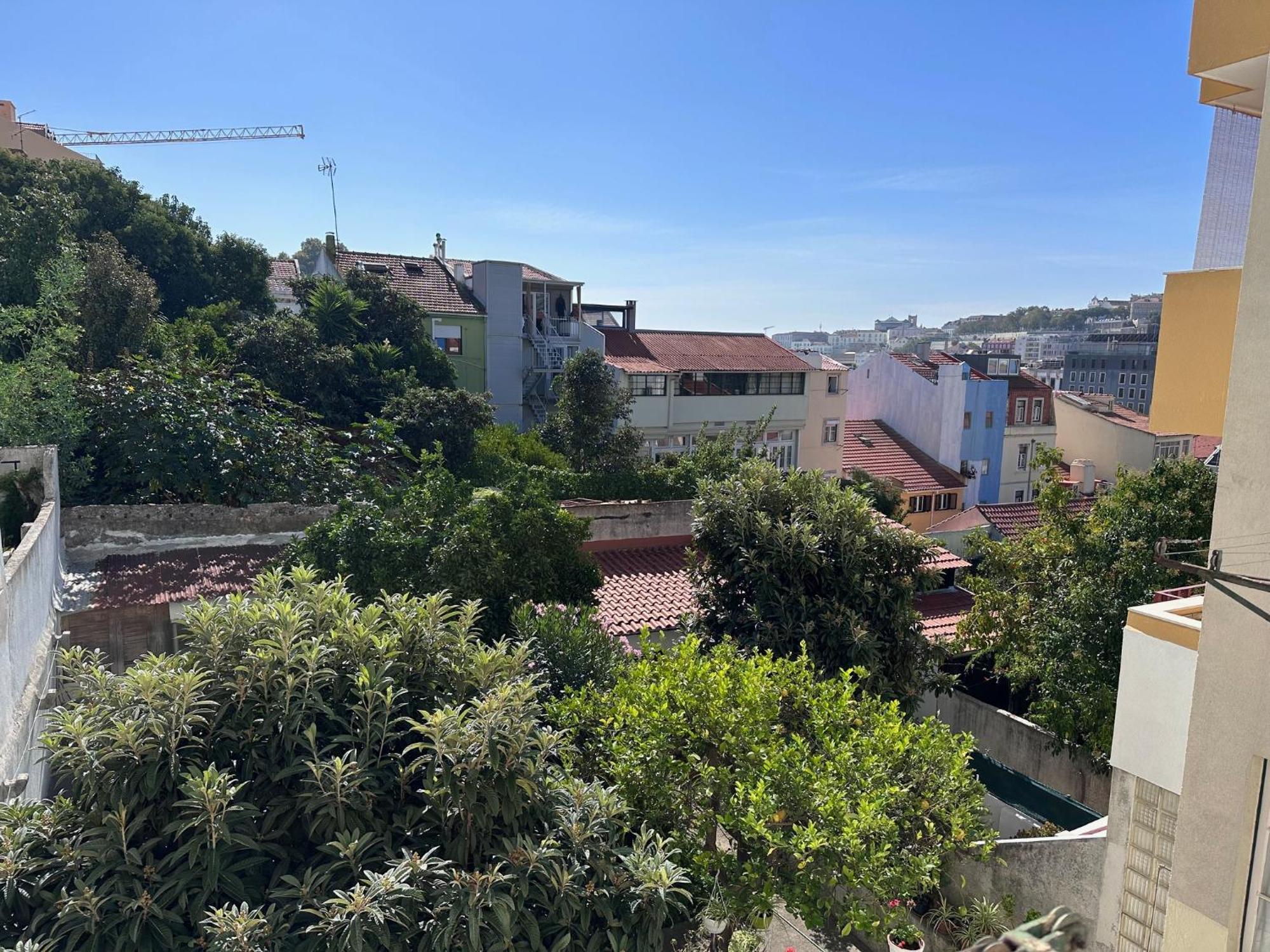 Apartamento Apartamento Lisboa Lisboa