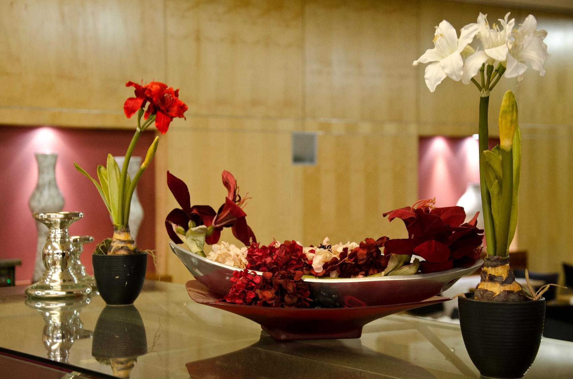 Vip Executive Entrecampos - Hotel&conference Hotel Lisboa
