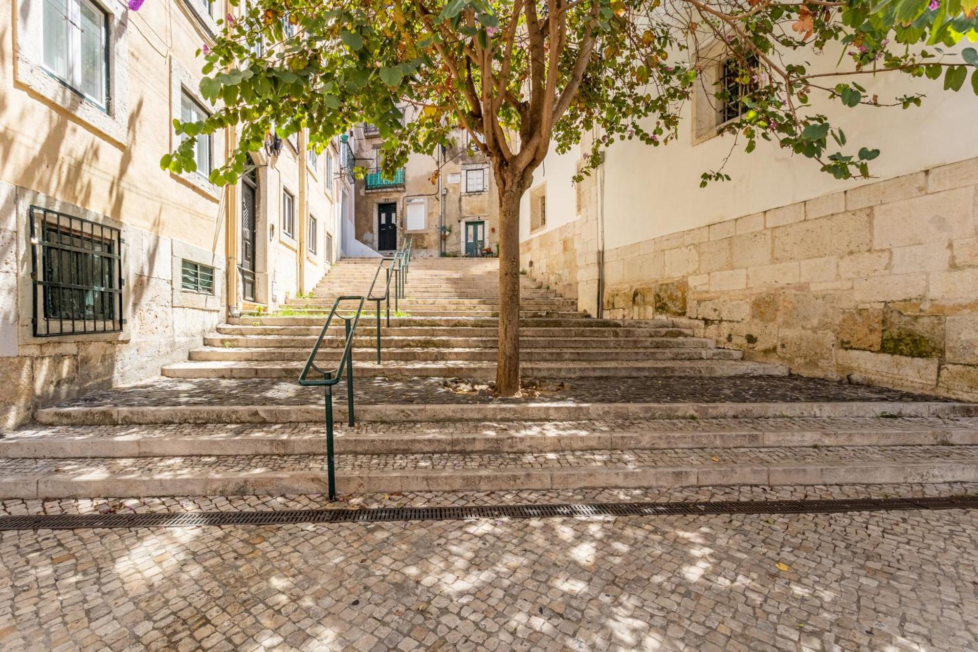 Apartamento Gralhas Lisboa