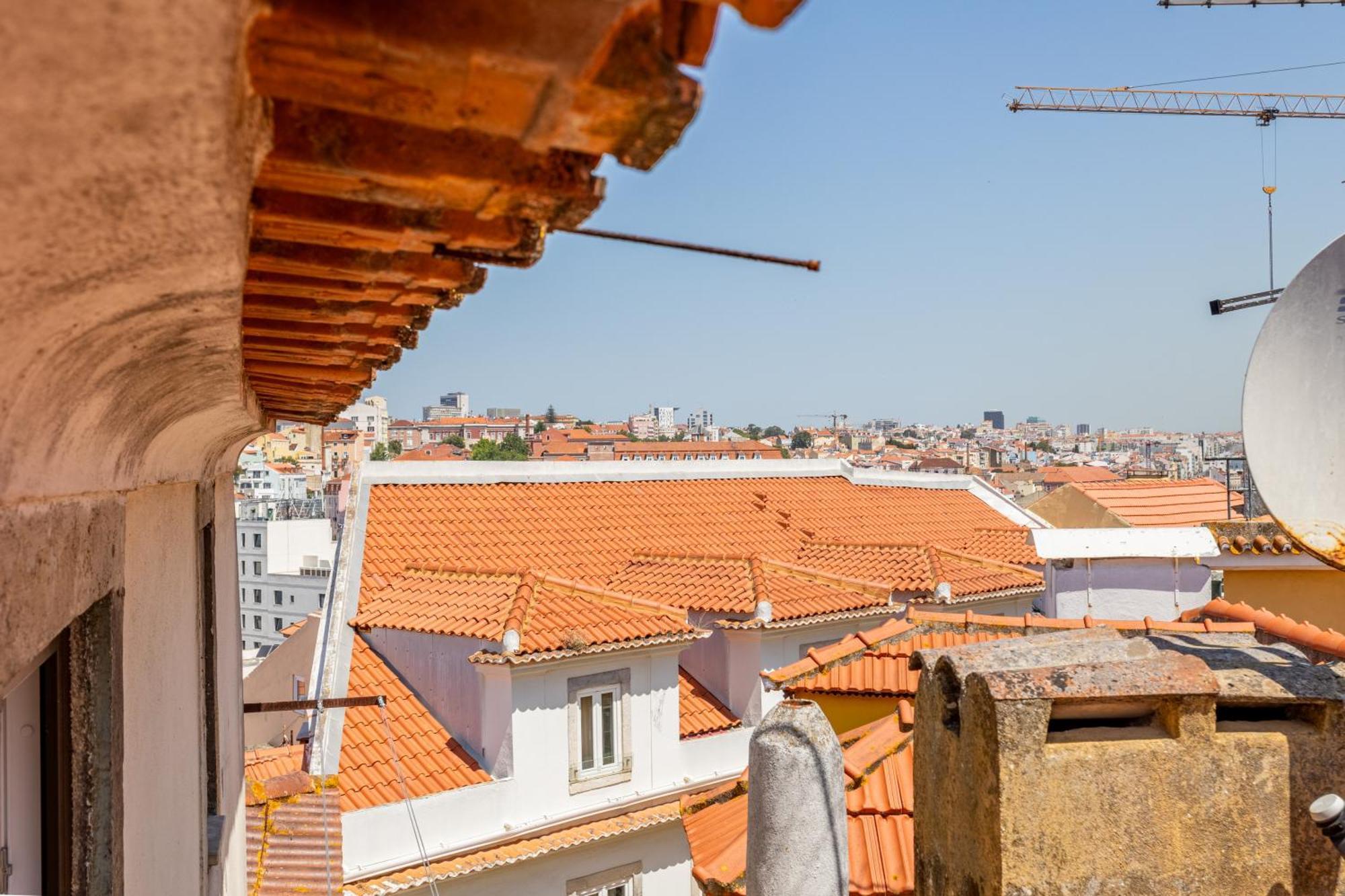 Gralhas * Lisboa