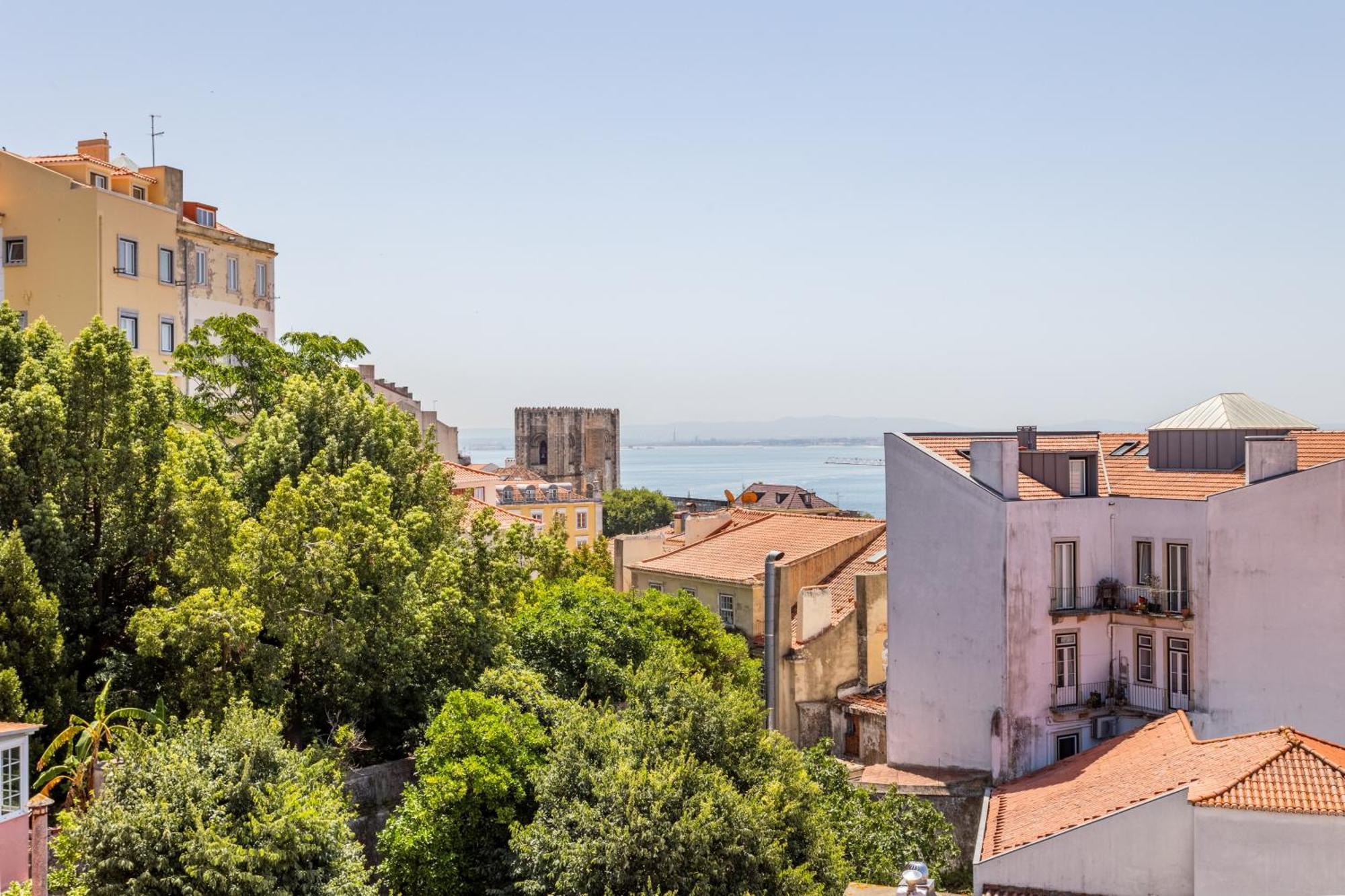 Gralhas Lisboa