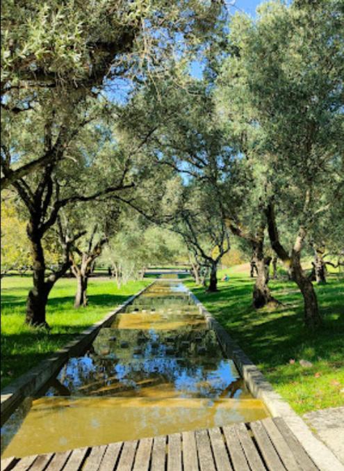 5min Walk To Subway & 10min Drive To Airport Lisboa