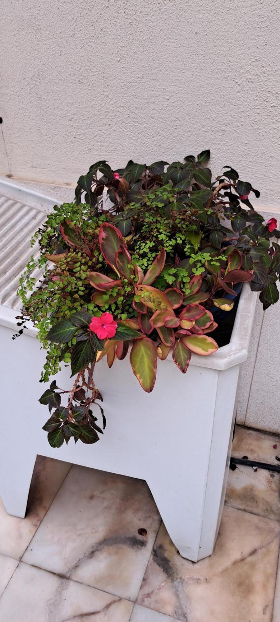 Sunny Terrace Apartamento