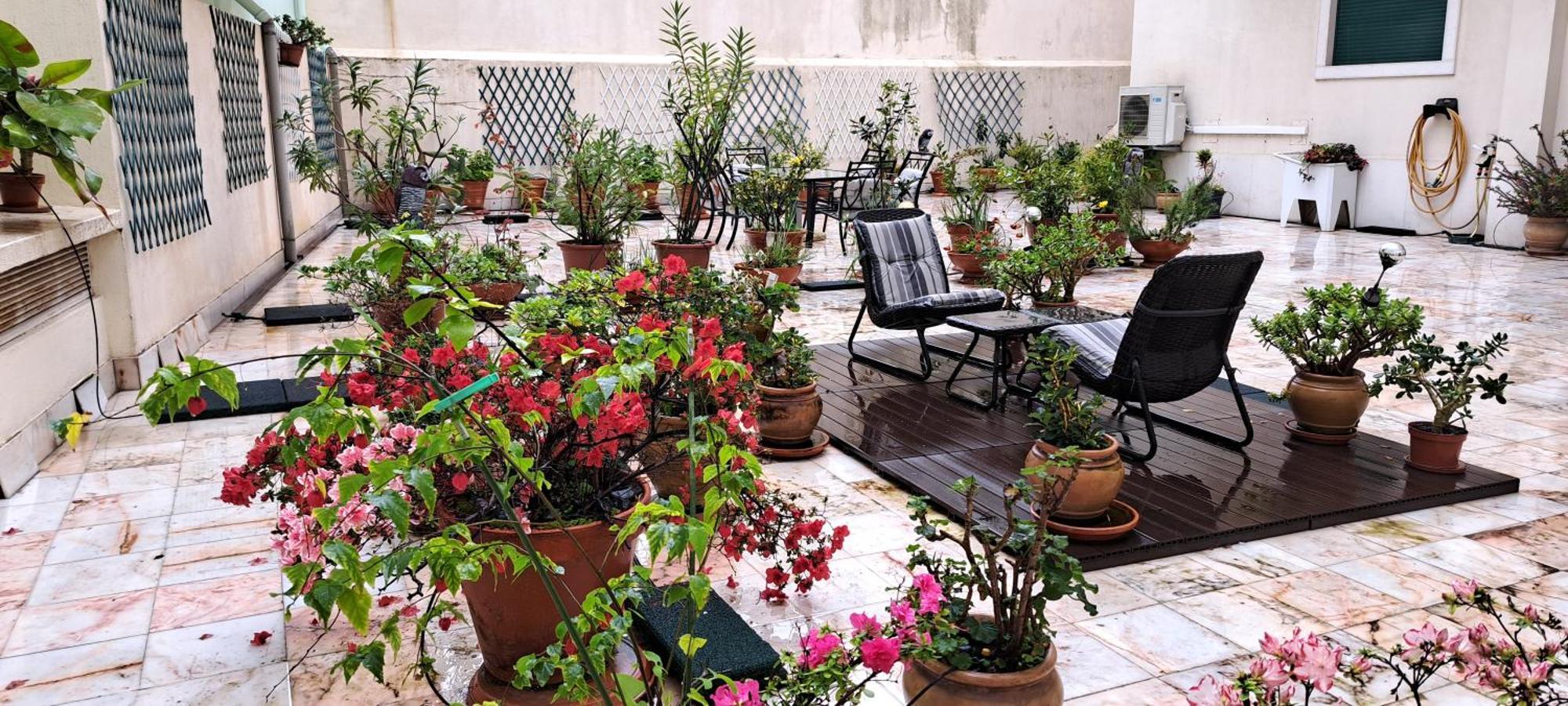 Apartamento Sunny Terrace Lisboa
