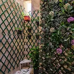 New! Unique 1 Bedroom Apartment- Santa Catarina 42