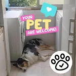 Private Rooms In Shared Apartment - Shared Bathroom And Dog Friendly