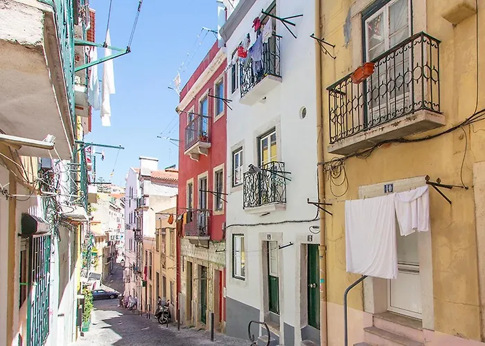 Typical Santa Catarina By Homing