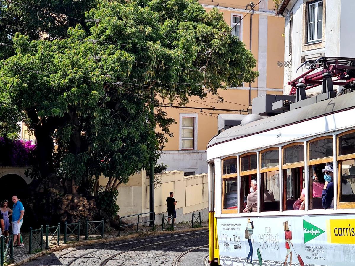 Lel Madalena Pensión Lisboa