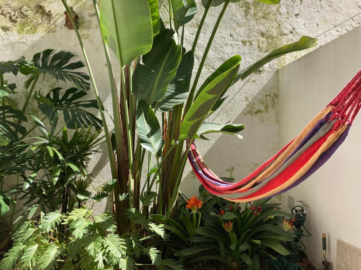 Apartamento The Monkey Flat *