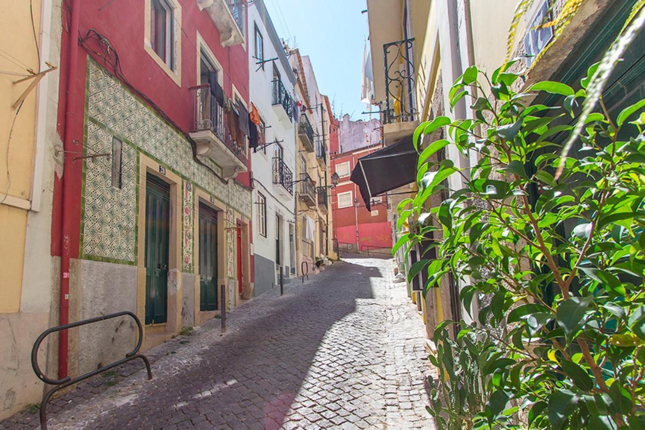 Typical Santa Catarina By Homing Apartamento