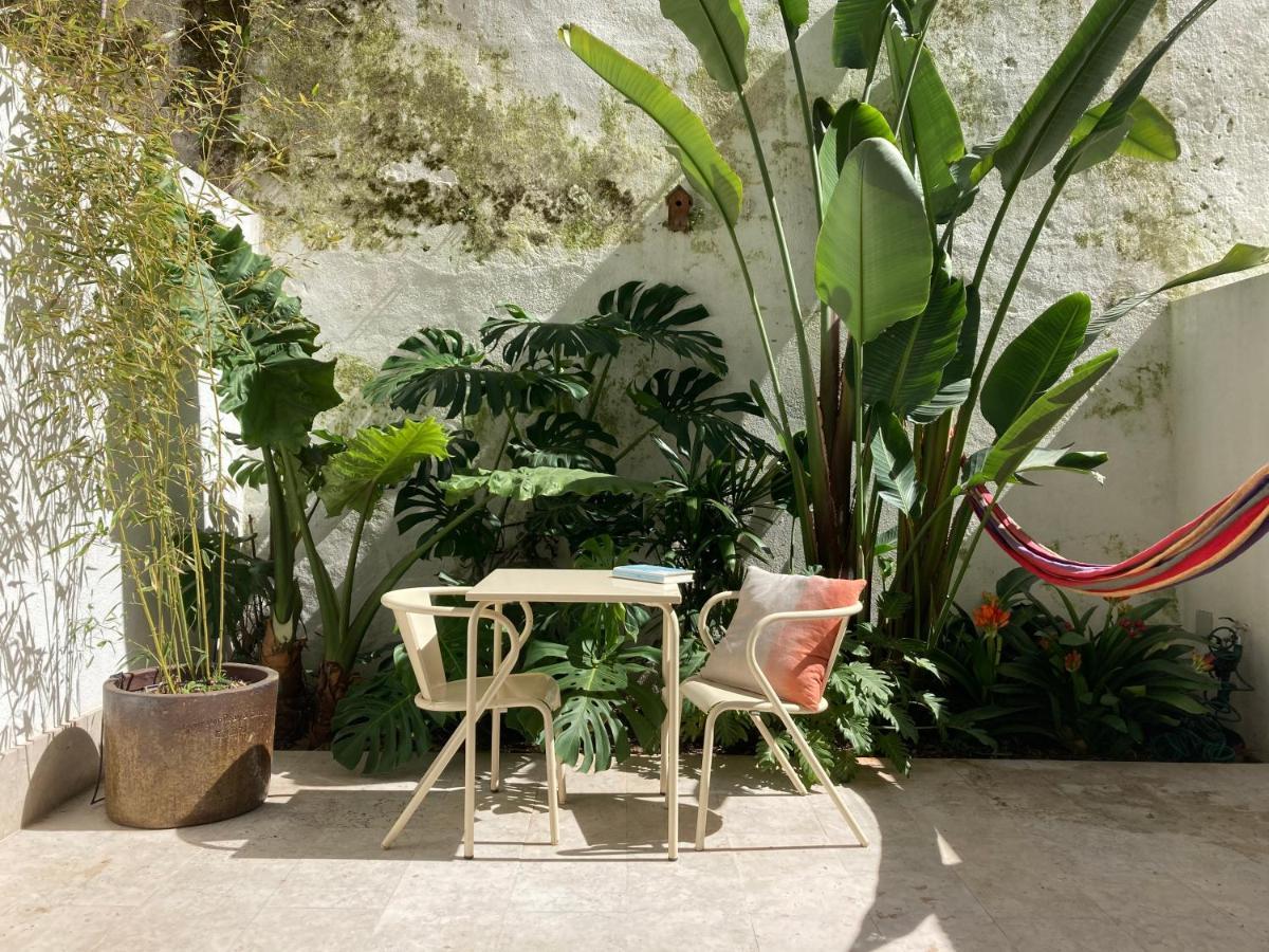 Apartamento The Monkey Flat Lisboa