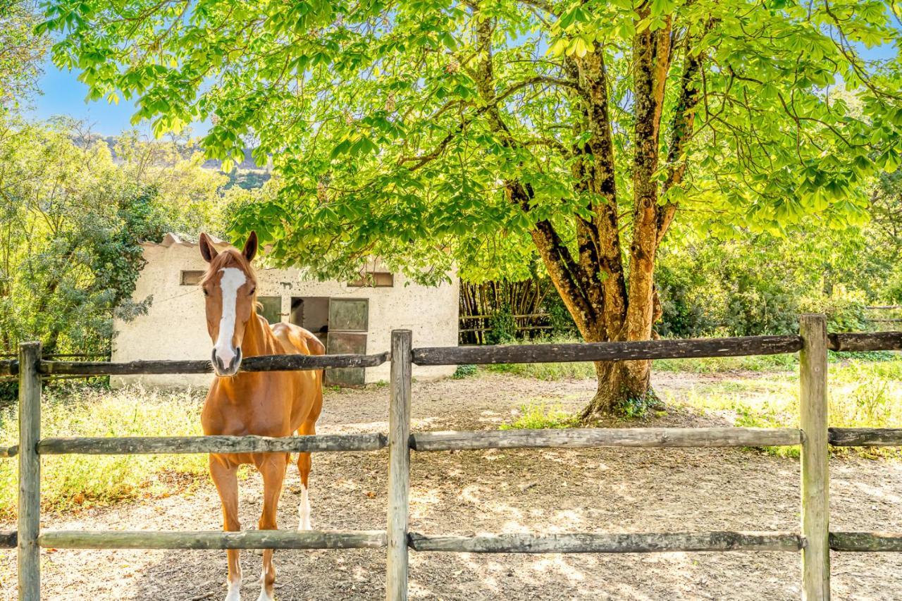 Quinta Do Boicao Сasa de vacaciones