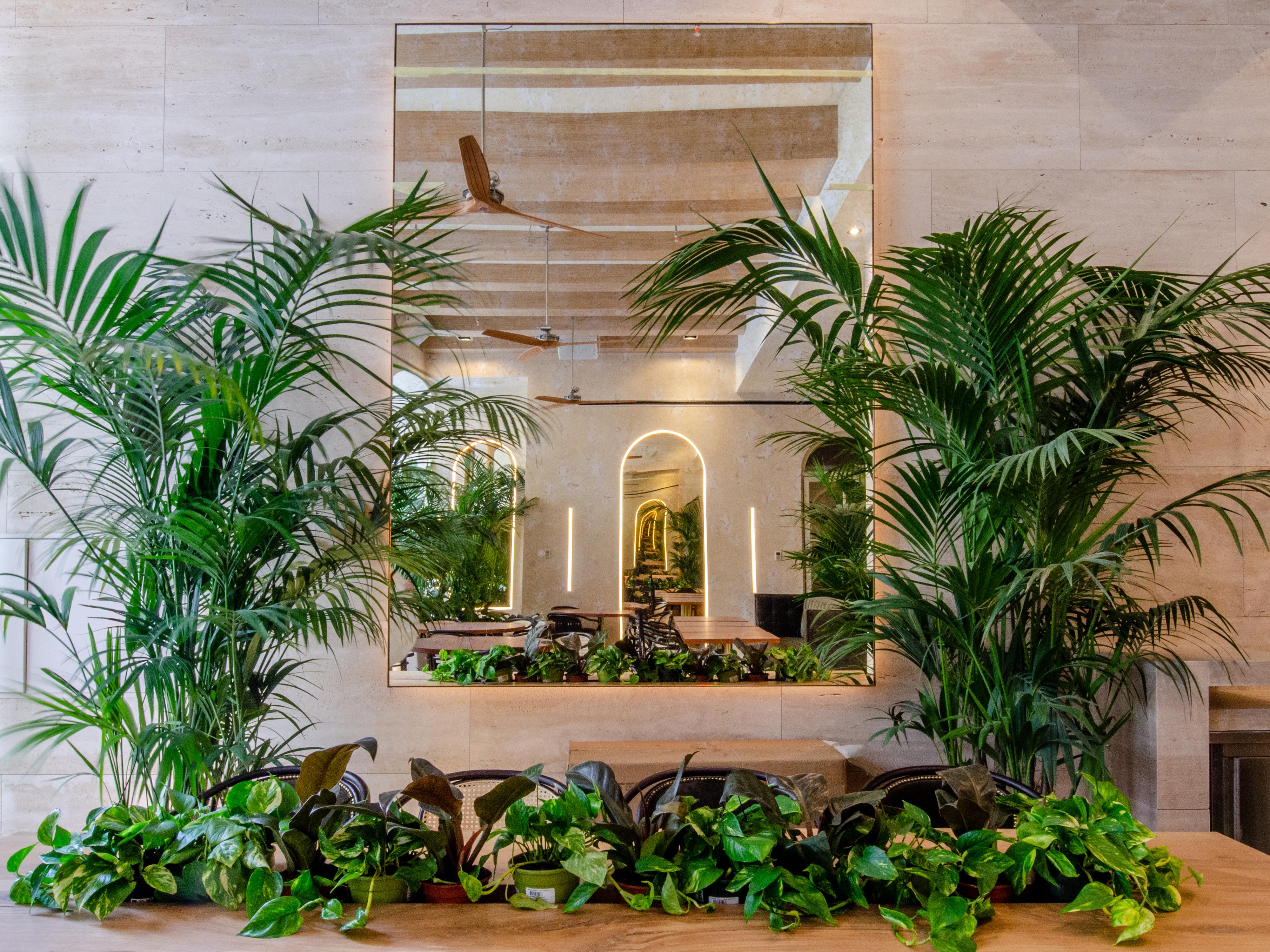 Browns Avenue 5* Lisboa