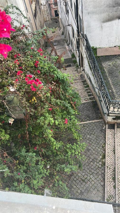 Alfama Authentic