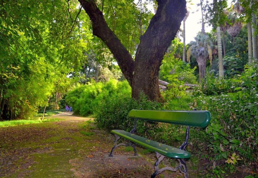 Dpj Romantic Jardim - Lift! - Pr.real/bairro Alto! * Lisboa