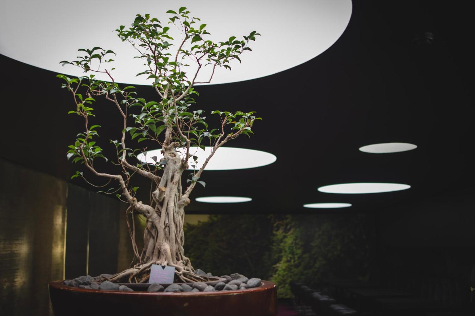 Doubletree By Hilton Fontana Park 4* Lisboa
