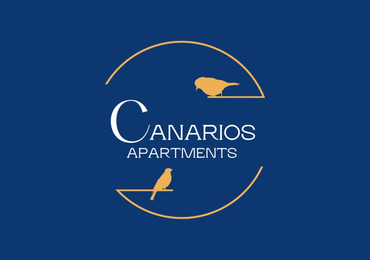 Canarios Catarina Lisboa
