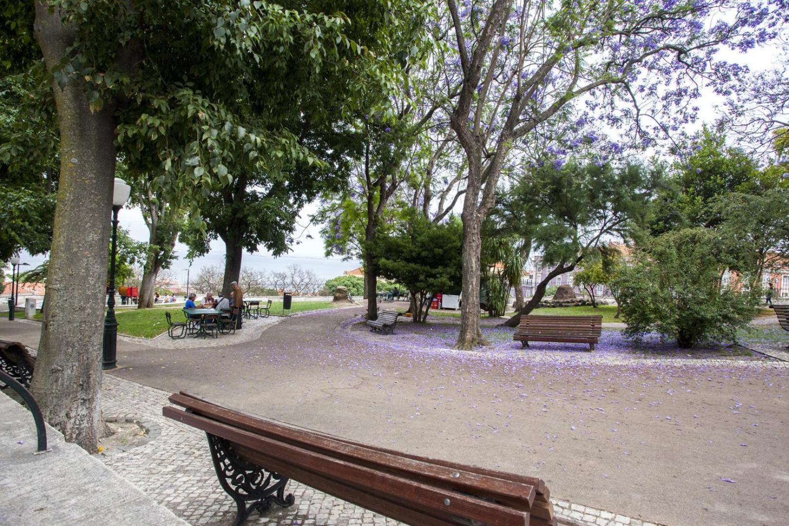 Alfama, Ttl268 Apartamento