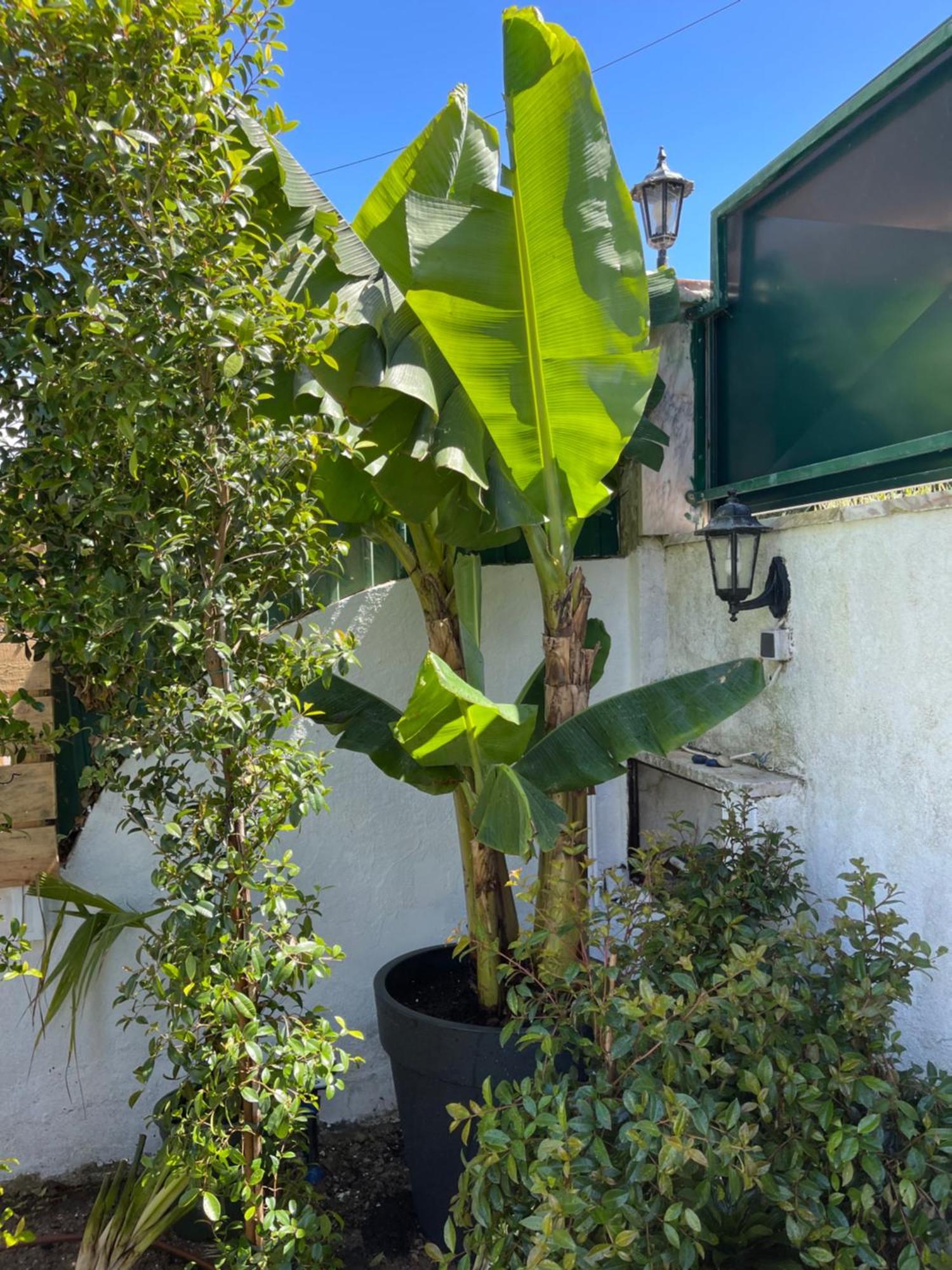 Villa Retreat Villa, Full Amenities, Up To 40ppl Lisboa