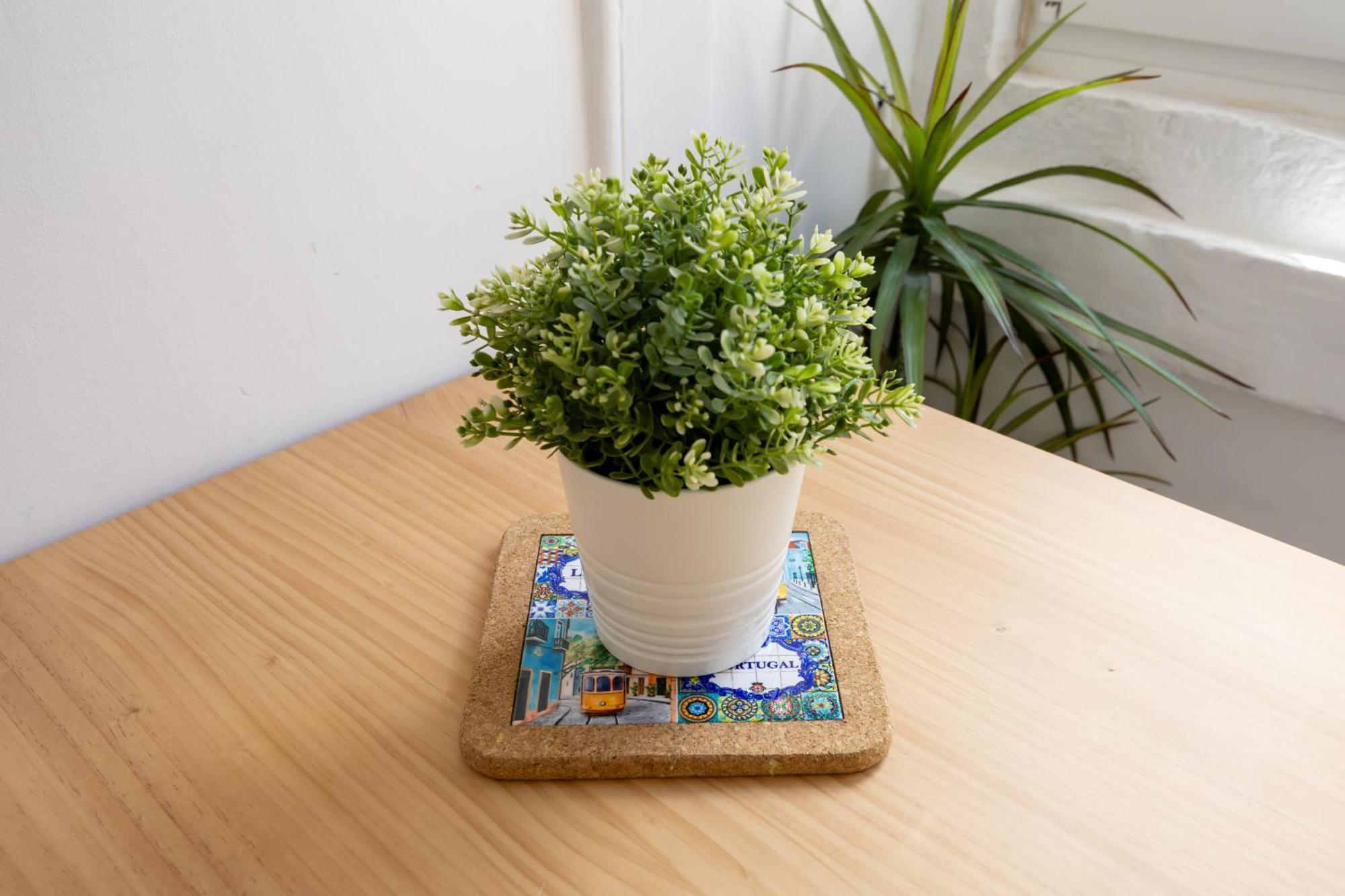 Alfama Valle Apartamento