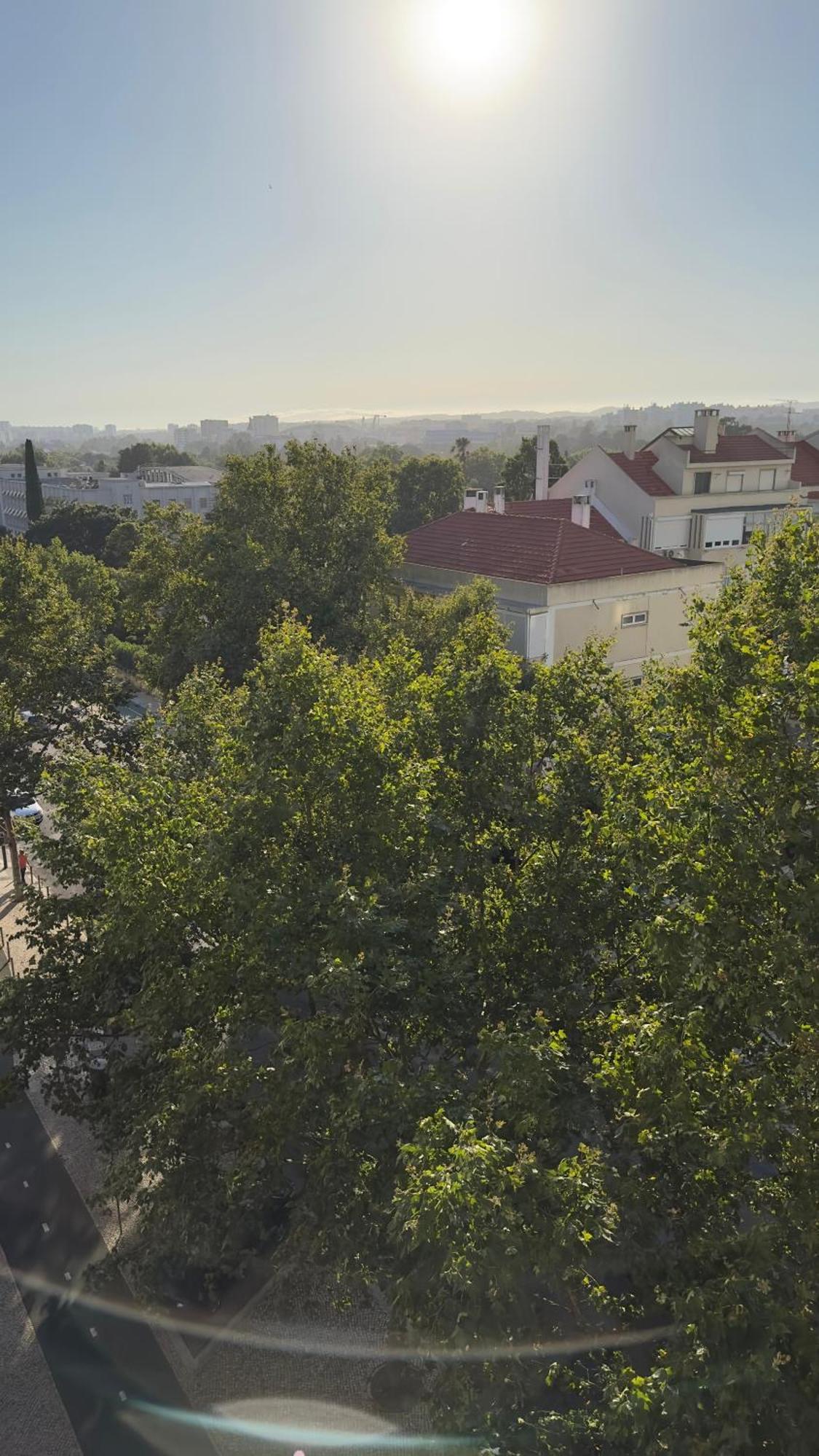 Apartamento Alvalade *