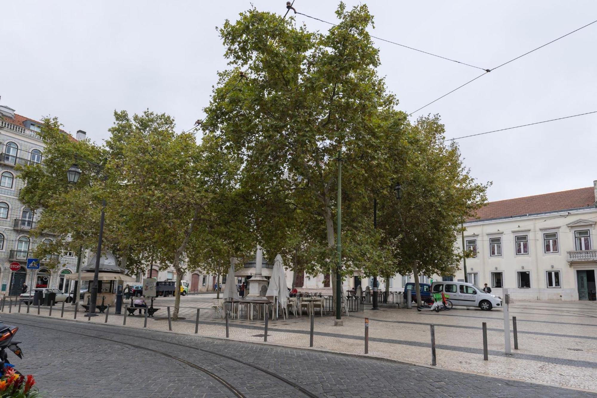 Chiado Center 1bdr Flat By Lovelystay Apartamento Lisboa