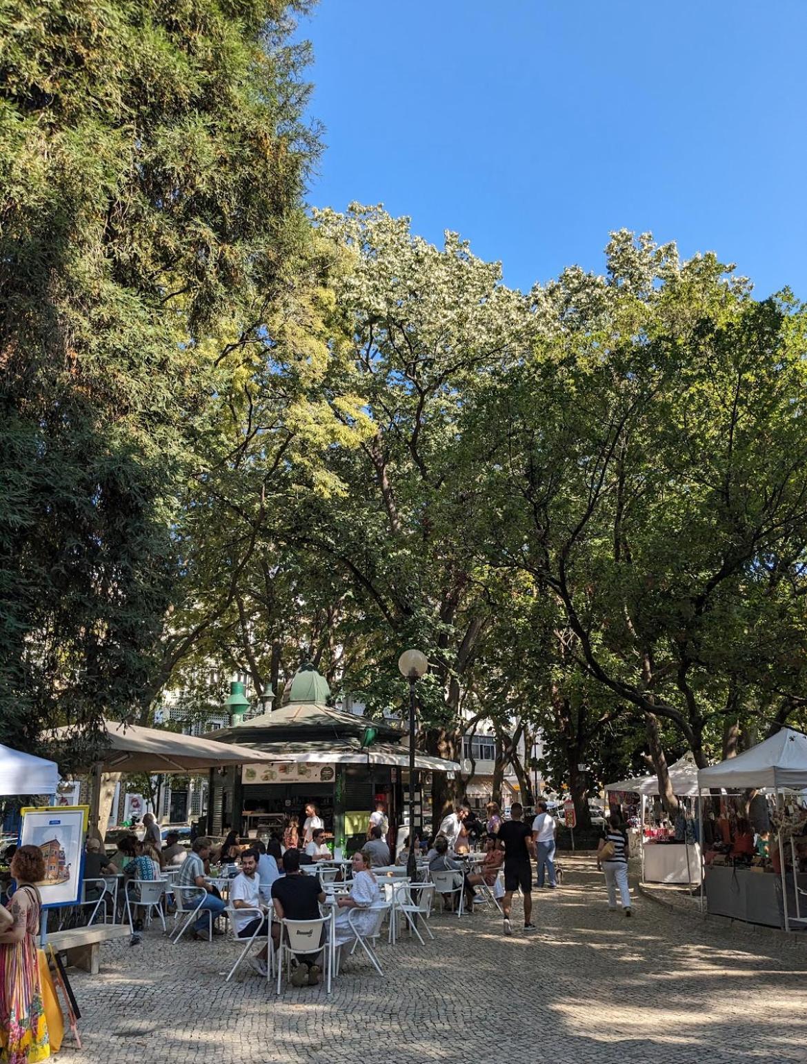 Viver - Em Campo De Ourique Apartamento *